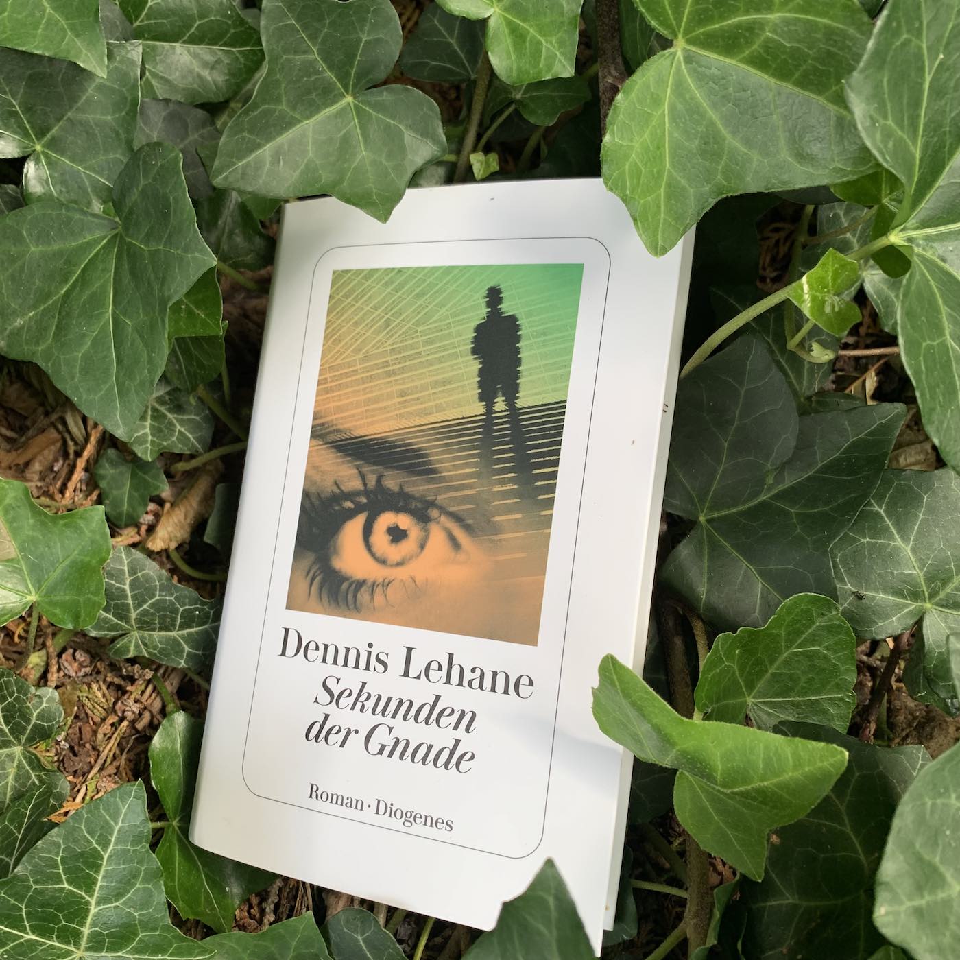 Feiste Bücher